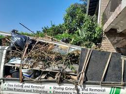 Best Shed Removal  in Jersey Village, TX